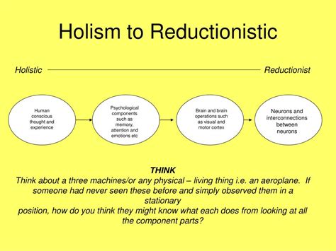 Reductionisme en holisme